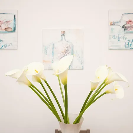 Gasthuis Oro Blu Torre Suda